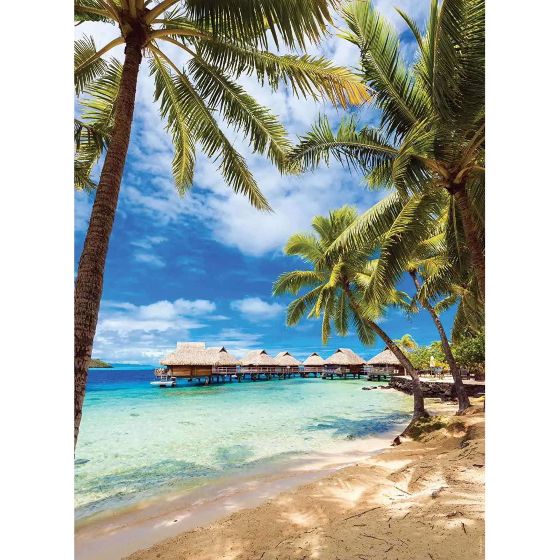 Plage Bora - Polynésie Française, 500 briker, Nathan