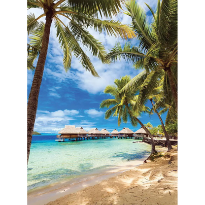 Plage Bora - Polynésie Française, 500 briker, Nathan